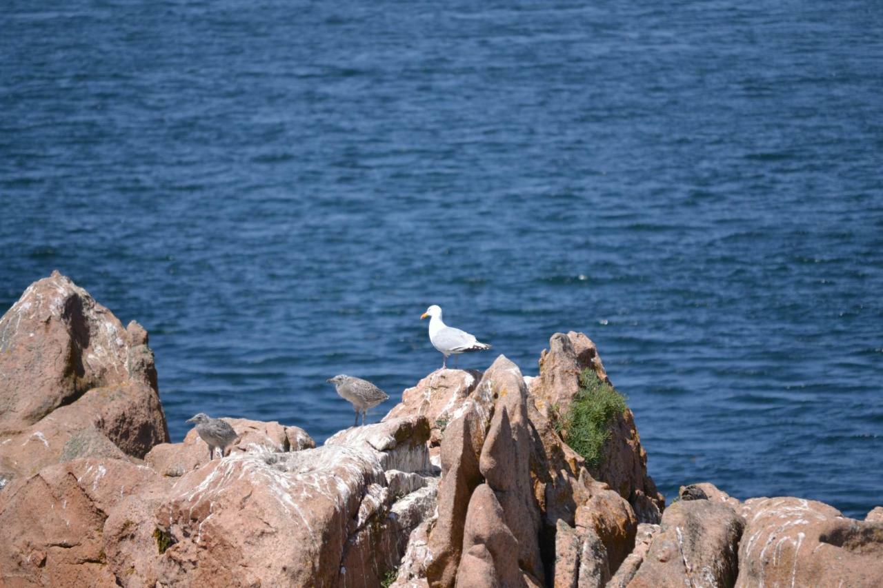 Gite De La Marina Dans La Presqu'Ile De Lézardrieux Zewnętrze zdjęcie